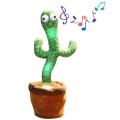 Танцующий кактус Dancing Cactus (100)